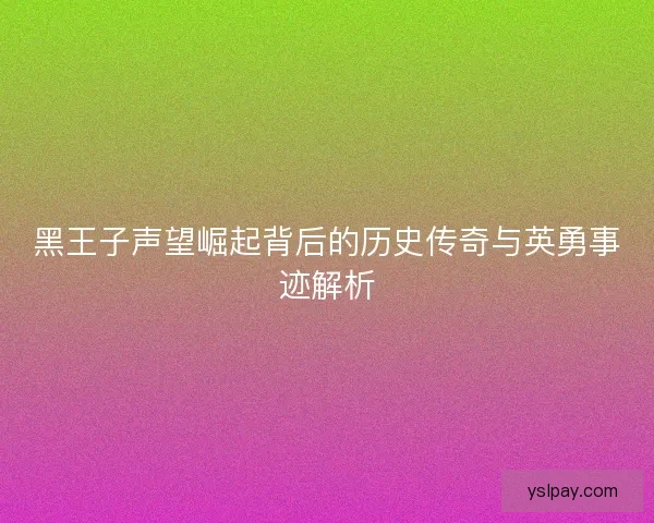 黑王子声望崛起背后的历史传奇与英勇事迹解析