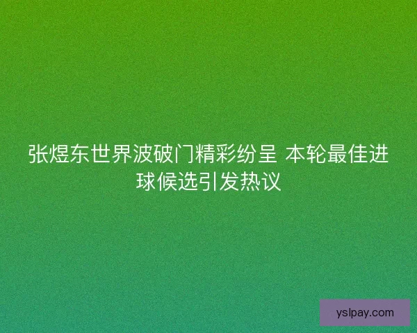 张煜东世界波破门精彩纷呈 本轮最佳进球候选引发热议