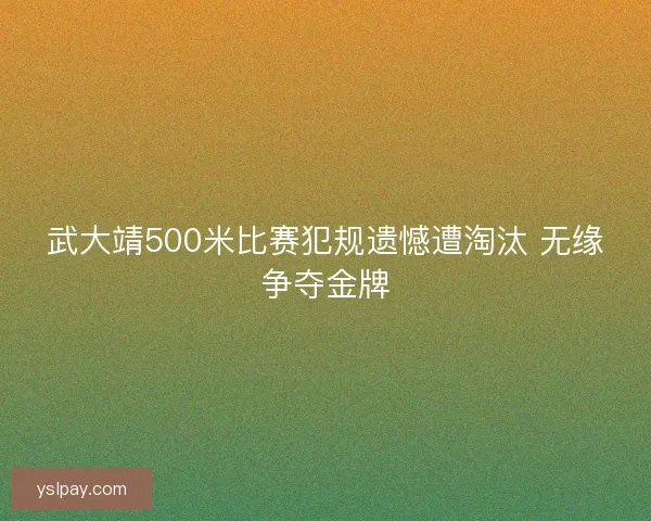 武大靖500米比赛犯规遗憾遭淘汰 无缘争夺金牌