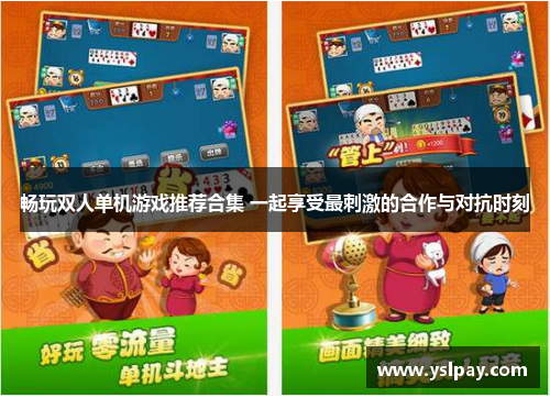 畅玩双人单机游戏推荐合集 一起享受最刺激的合作与对抗时刻