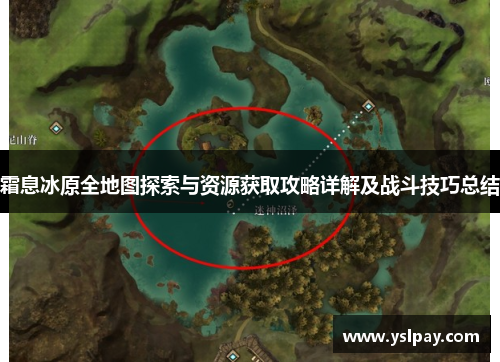 霜息冰原全地图探索与资源获取攻略详解及战斗技巧总结